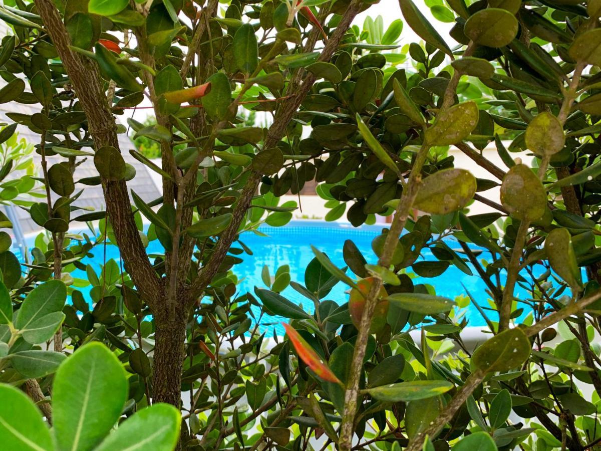 Beachliving Cabana Villa Esmoriz Esterno foto